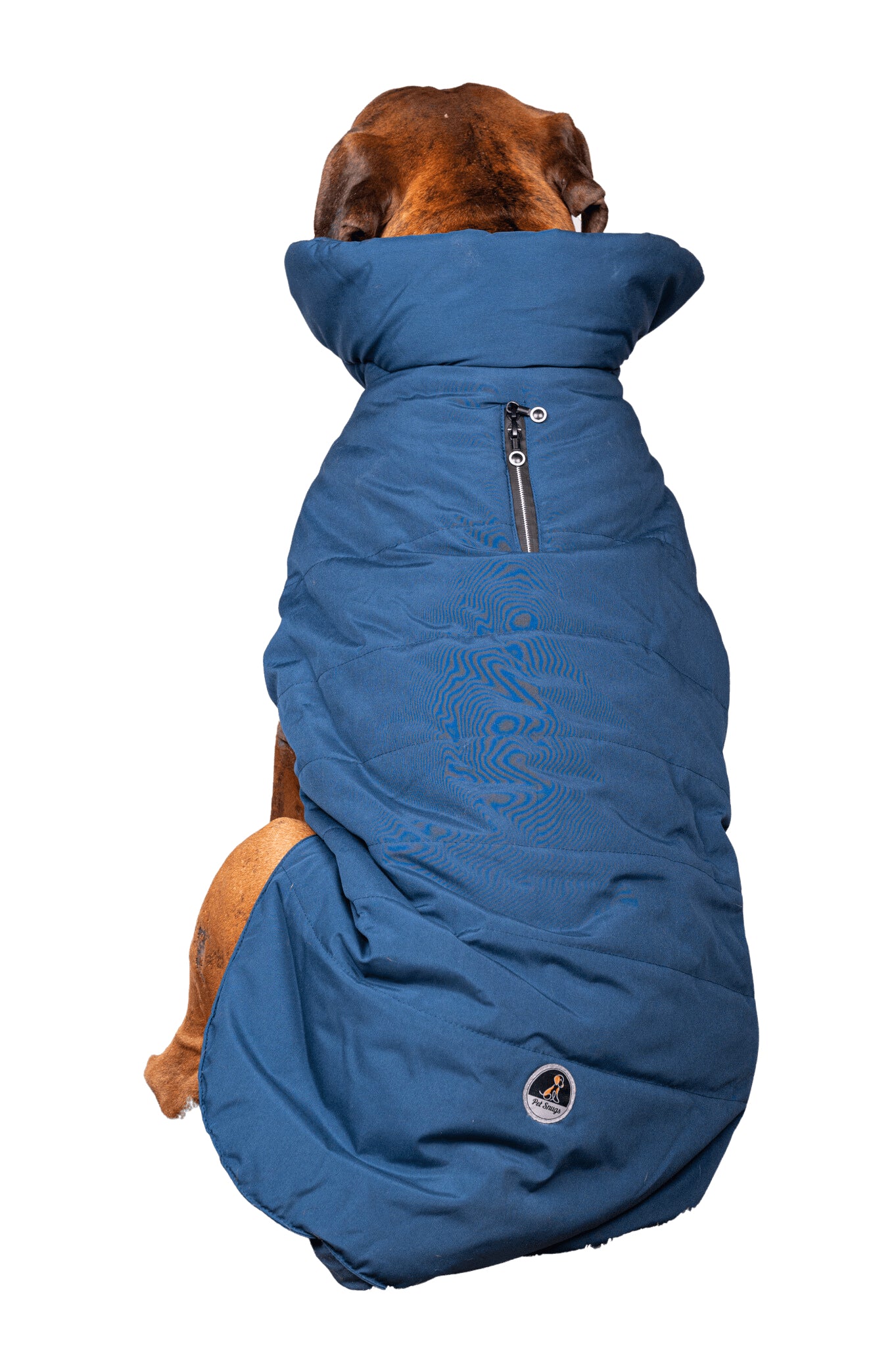 Pet Snugs Water-Resistant Top & Soft Cotton Lining Jacket For Your Furry Friend Blue