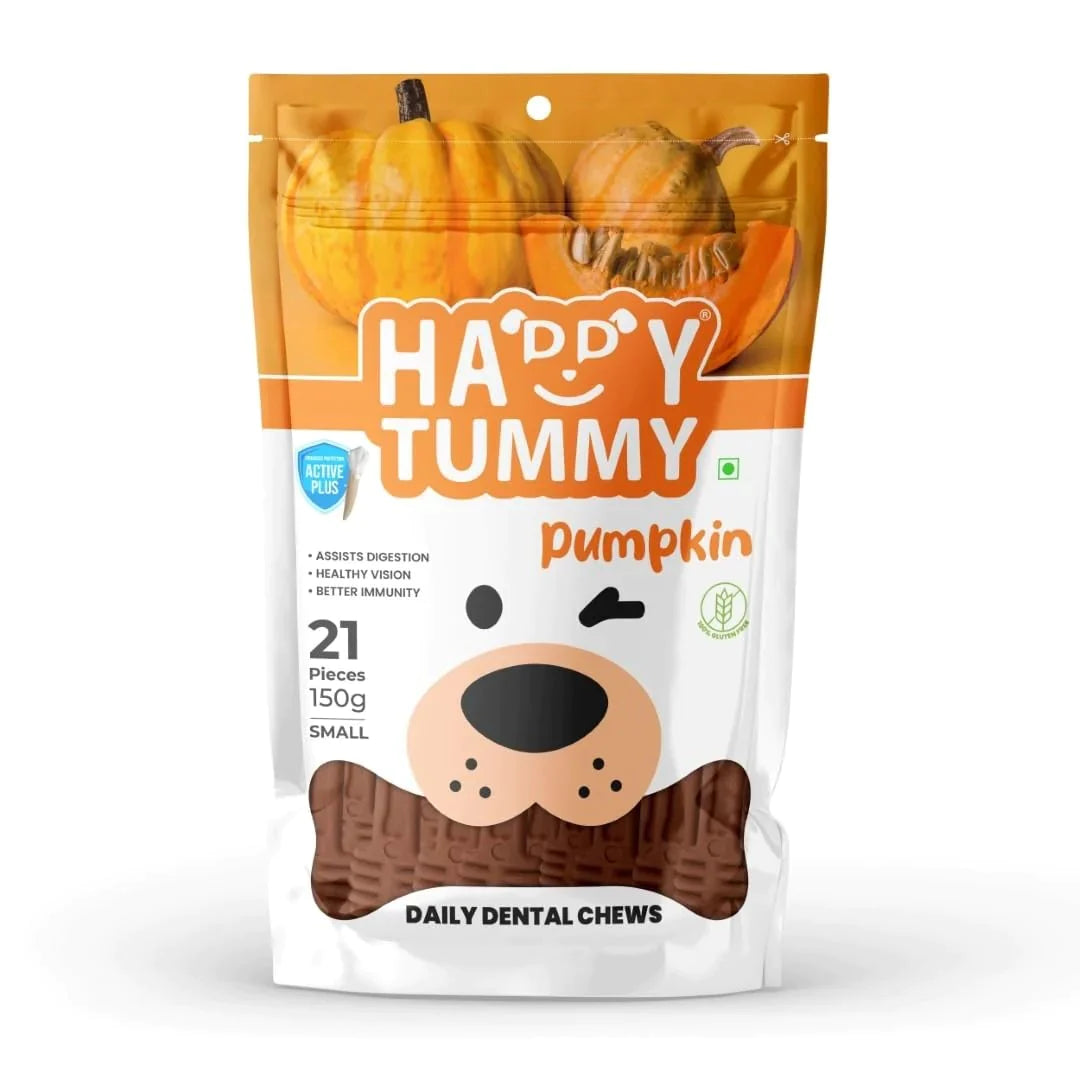 Happy Tummy Pumpkin Daily Dental Chew Vegetarian & Sustainable Treat For Dogs