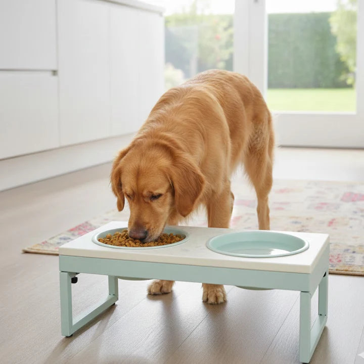 Pawpourri UV Pattern Metal Foldable Leg Dinner Set For Dogs