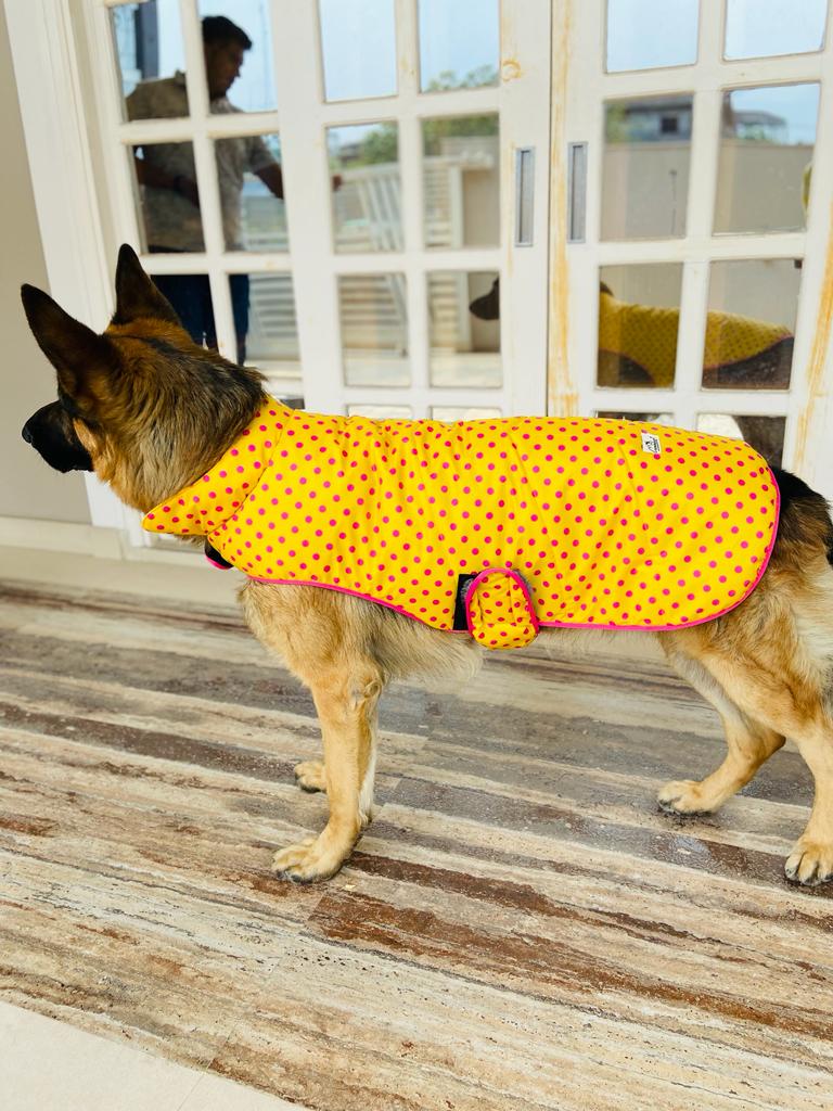 Caninkart Printed Jacket For Your Furry Friend - Yellow Polka Dots