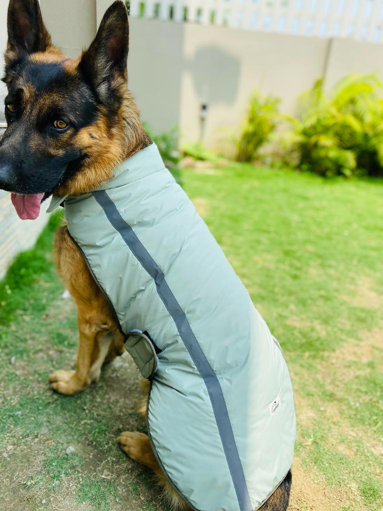 Caninkart Reflective Jacket For Your Furry Friend - Green