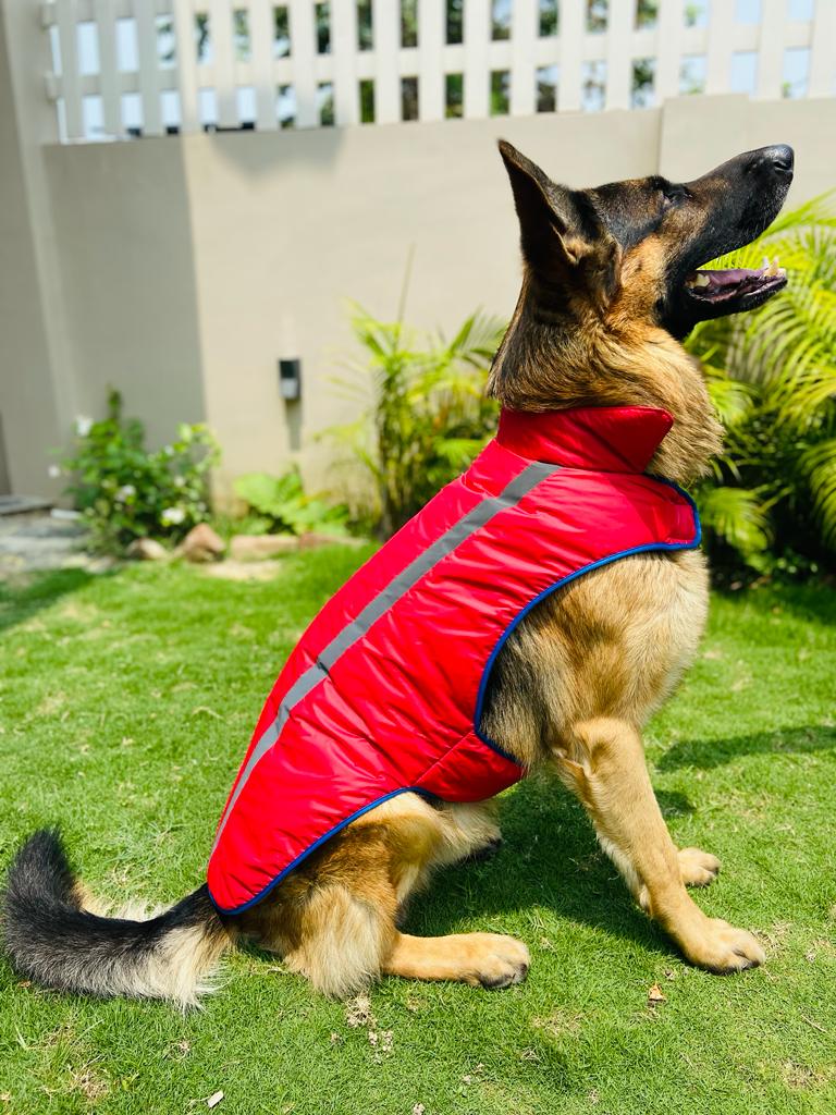 Caninkart Reflective Jacket For Your Furry Friend - Red