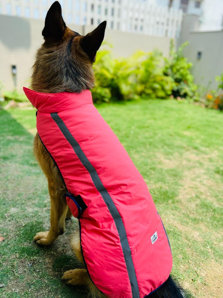 Caninkart Reflective Jackets For Your Furry Friend - Light Pink