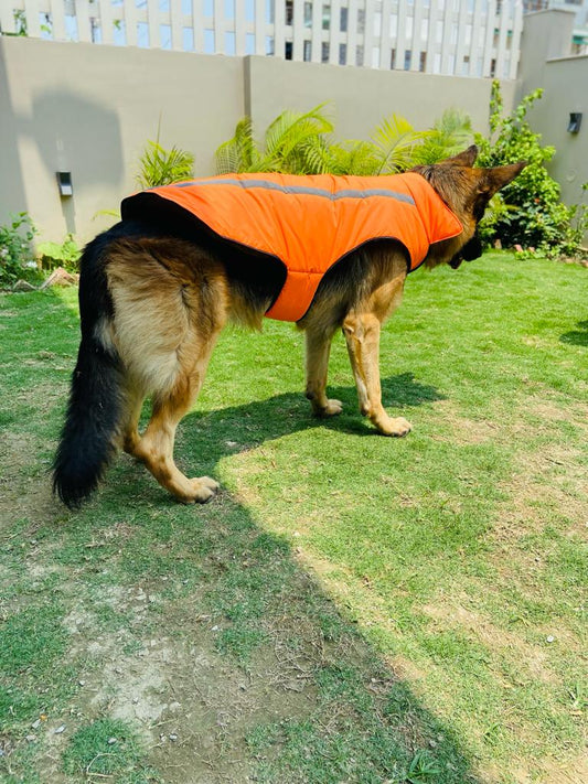 Caninkart Reflective Jacket For Your Furry Friend - Orange