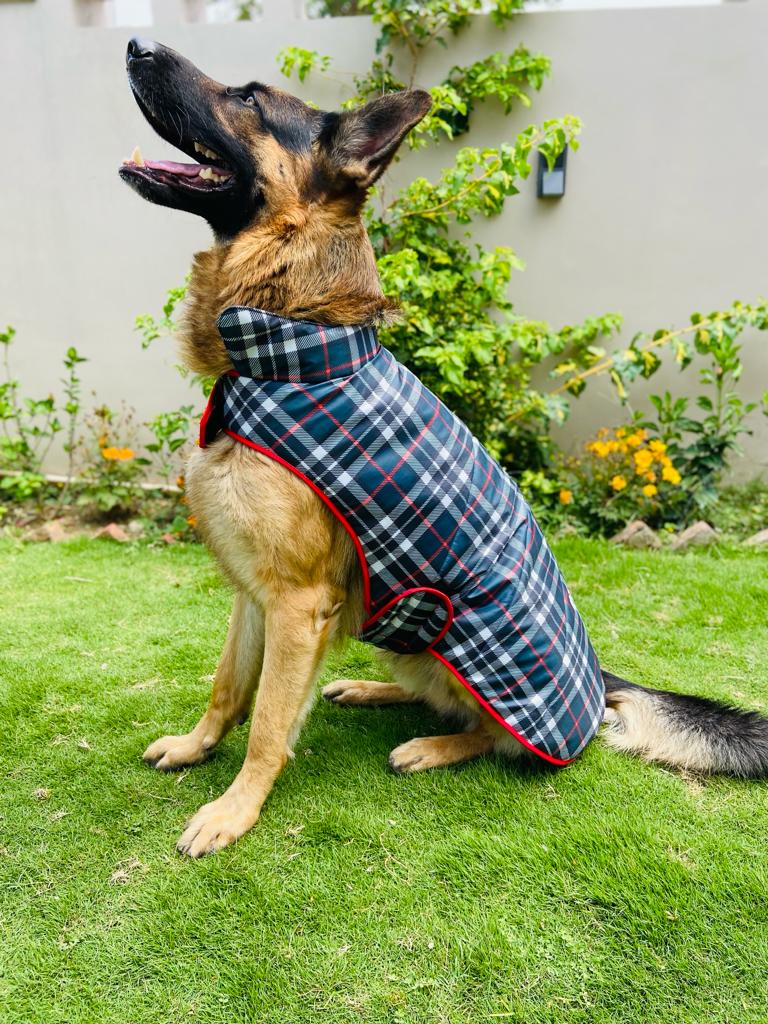 Caninkart Check Printed Jacket For Your Furry Friend - Grey