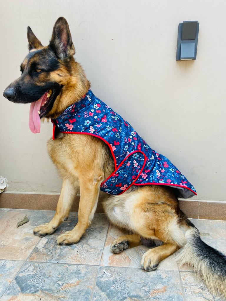 Caninkart Printed Jacket For Your Furry Friend - Blue Blossom