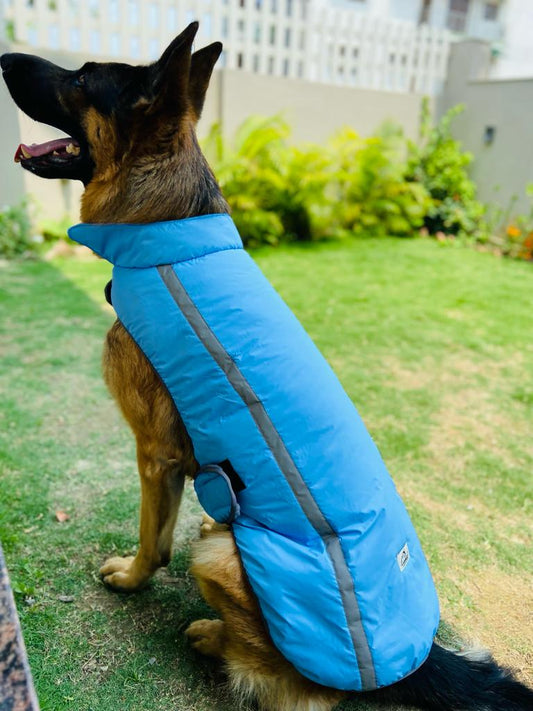 Caninkart Reflective Jacket For Your Furry Friend - Sky Blue