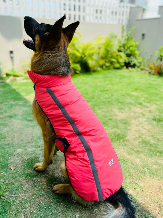 Caninkart Reflective Jackets For Your Furry Friend - Light Pink