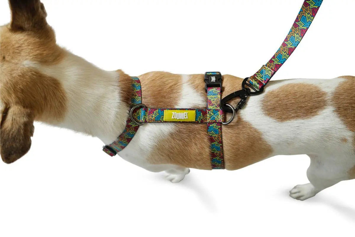 Zoomiez Bolt H - Harness For Dog