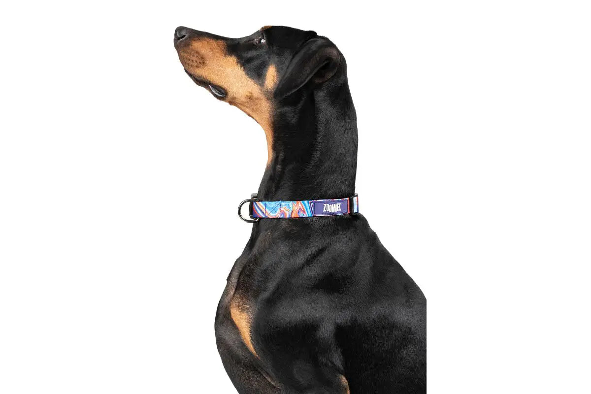 Zoomiez Fluid Collar For Dog