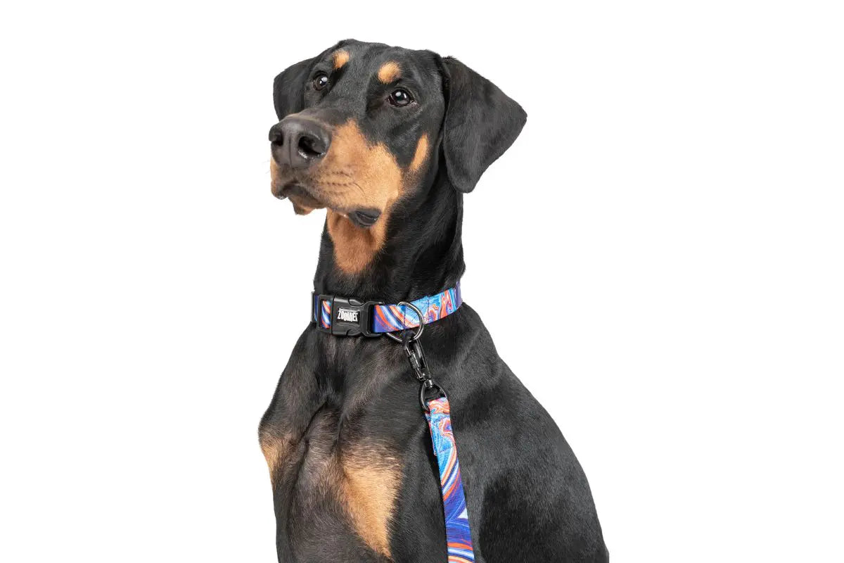 Zoomiez Fluid Collar For Dog