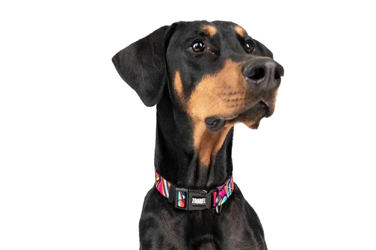 Zoomiez Drip Collar For Dog