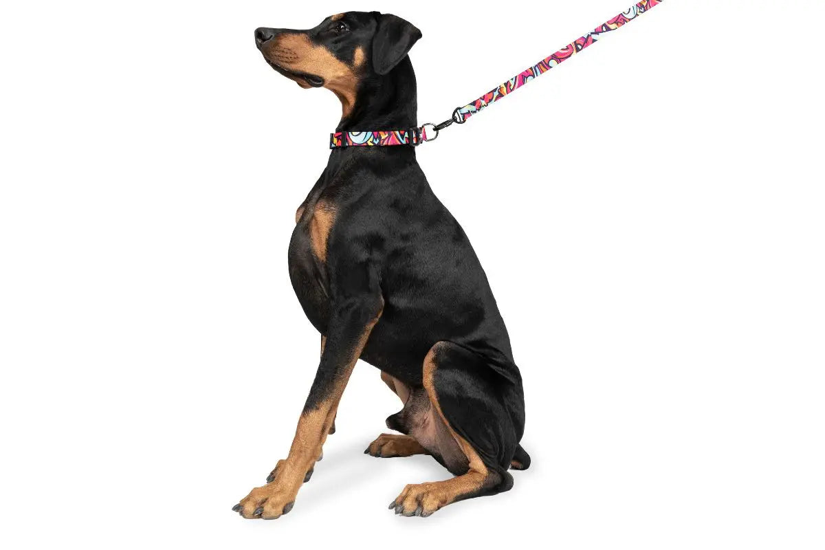 Zoomiez Drip Collar For Dog