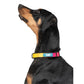 Zoomiez Solar Collar For Dog
