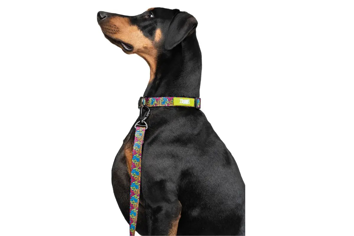 Zoomiez Bolt Collar For Dog