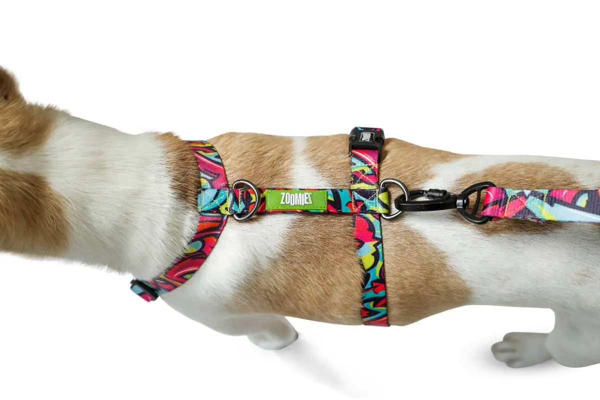 Zoomiez Drip H - Harness For Dog