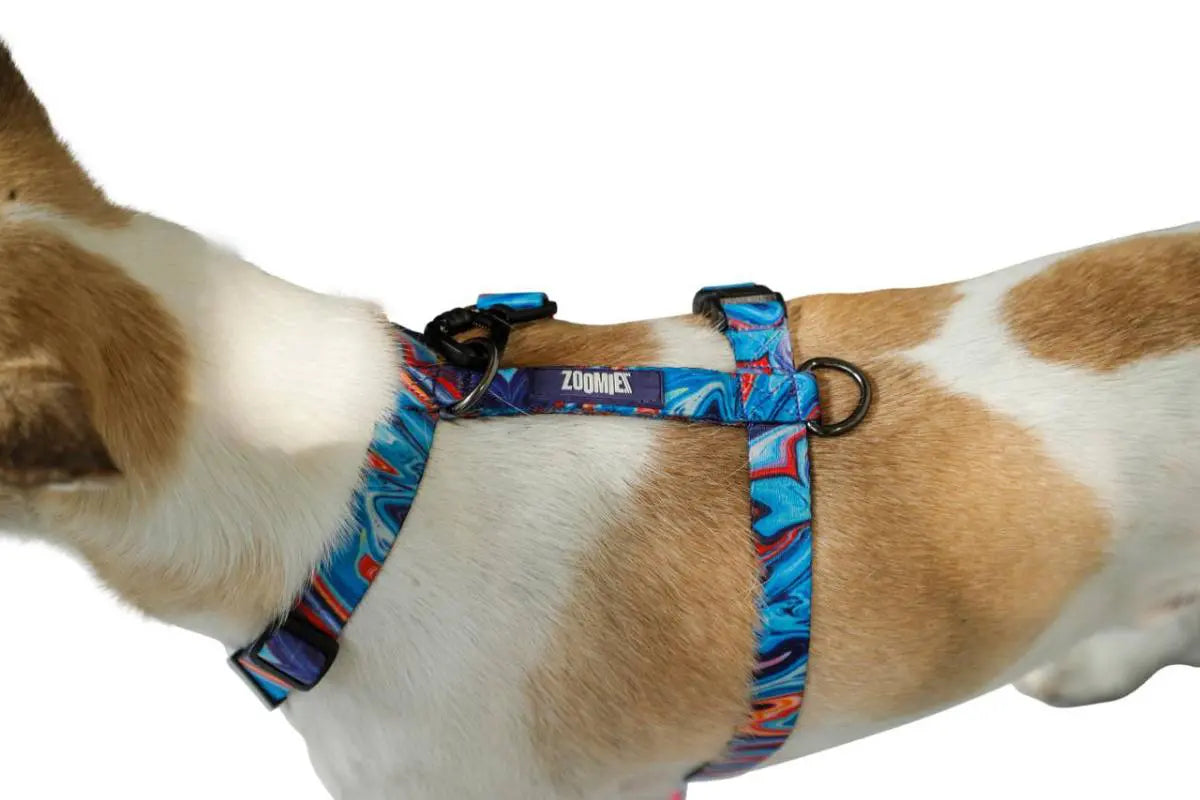 Zoomiez Fluid H - Harness For Dog