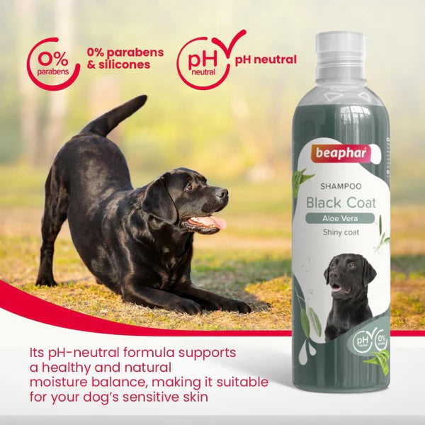 Beaphar Shampoo Black Coats Sort Pels with Aloe Vera For Dogs 250ml