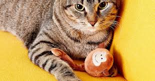 Petmate JW Monkey Singe Catnip Toy For Cat