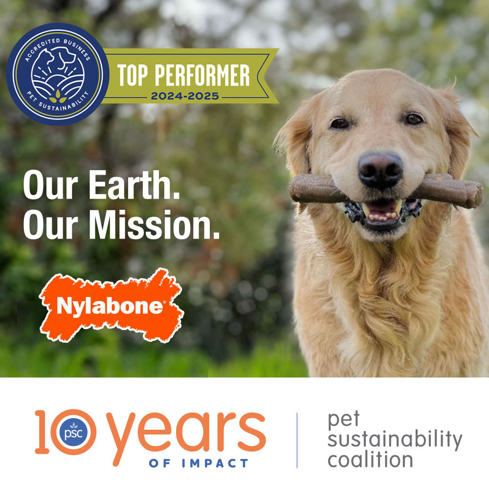 Nylabone Puppy Chew Teething Pacifier Dog Chew Toy Up To 11kg Bacon Flavor 15.24cm x 3.17cm x 3.81cm