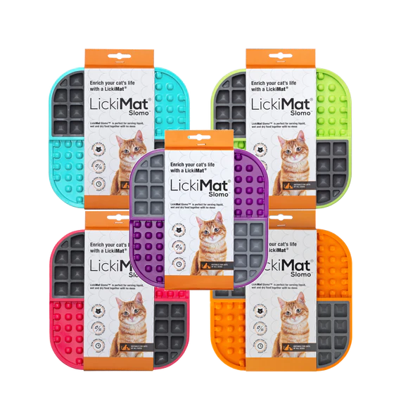 LickiMat Playdate Tuff Slow Feeder For Dog 20x1.40x20cm