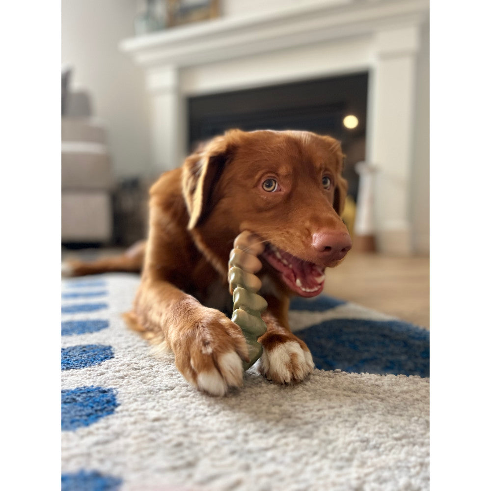 Nylabone Power Chew Gator Tail Alternative Chicken Flavor Chew Toy For Up To 23kg Dogs 19cm x 2cm x 3cm