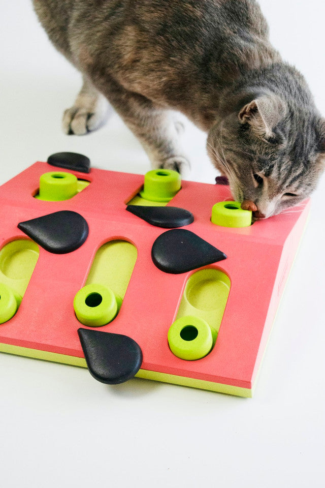 Petstages Melon Madness Puzzle and Play Cat Game Pink 23x25cm