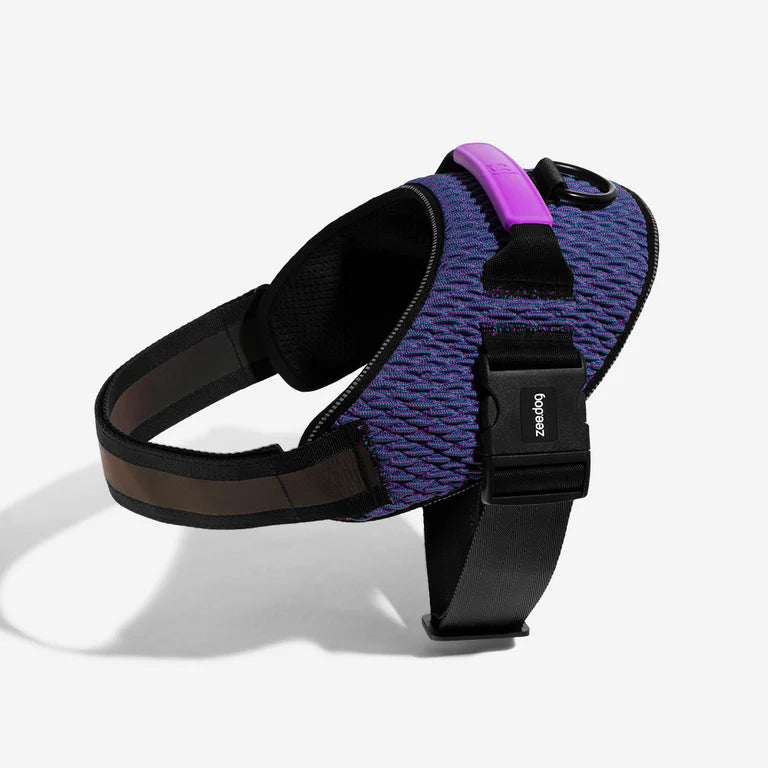 Zee dog Wicked Fly Harness For Dogs