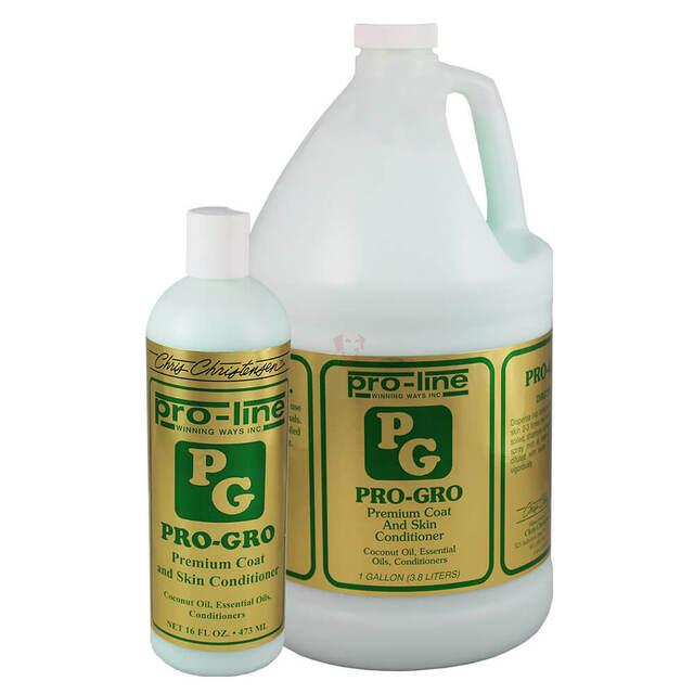 01-P001__39484.1577731129