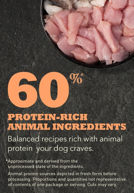 Acana Puppy Recipe Dry Dog Food