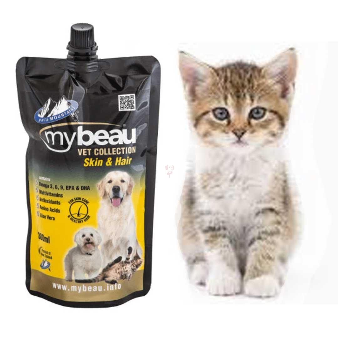 16126101181343061339601e7a4693fc1Untitled-5