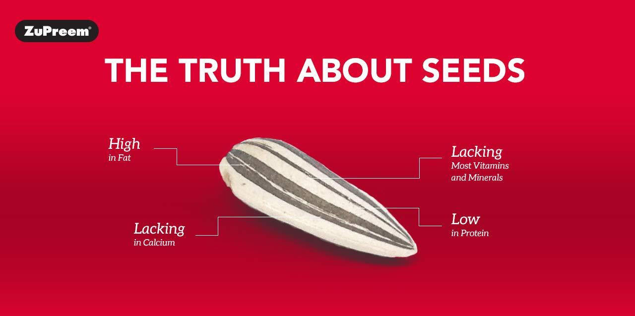 51Kdk1NIqwL._SL1280_