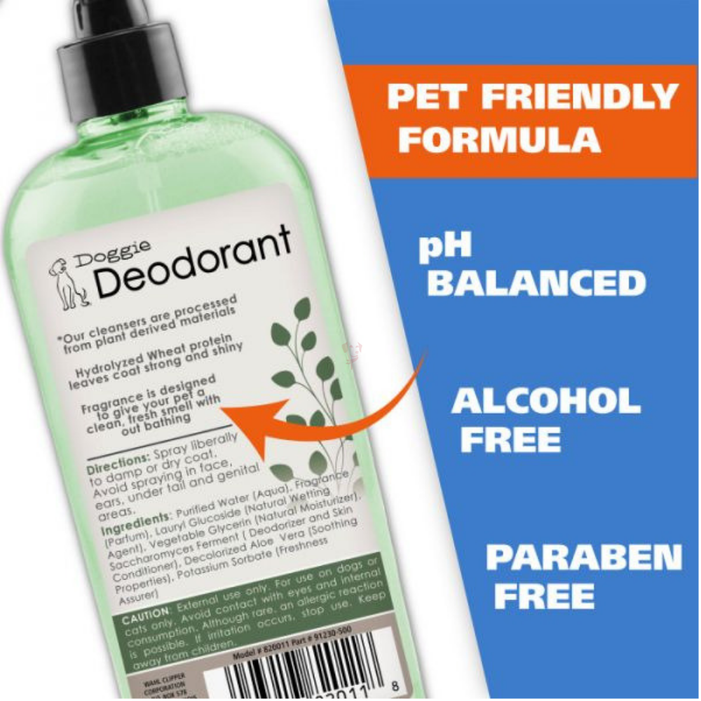 5_0fc00920-f8da-4c79-9f05-665281727ca7_510x@2x