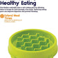 Petstages Kitty Slow Feeder Cat Bowl XS Green