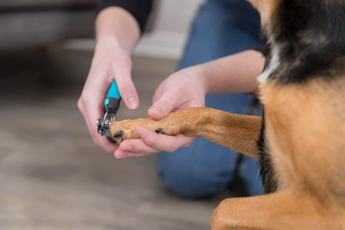 61bDuk-JHpL._SL1500_