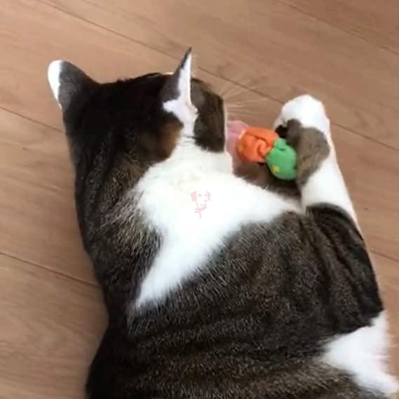 61yyGdlb-JL._AC_SX569_