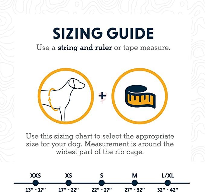 71F8W9njmxL._AC_SX679_ (1)