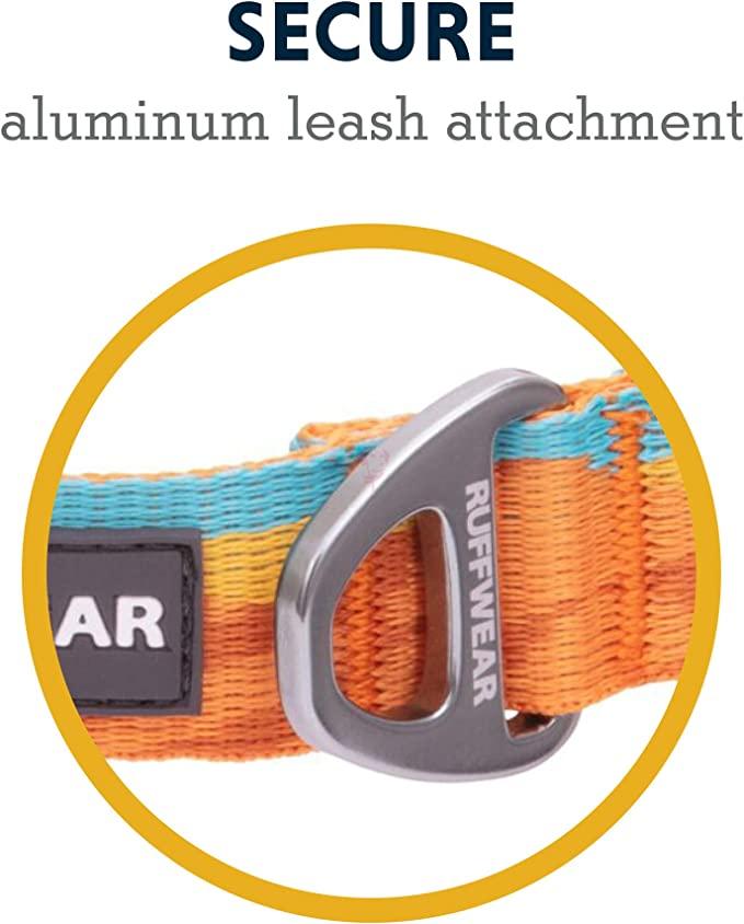 71JCQZ1aKRL._AC_SX679_