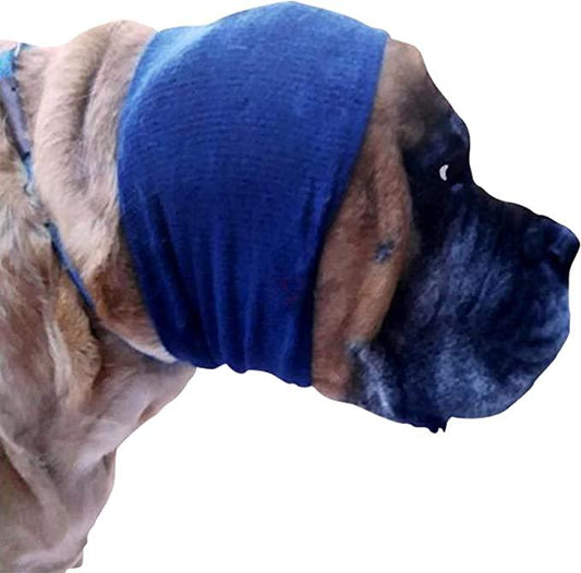 71Saxy9r8xL._AC_SX679_