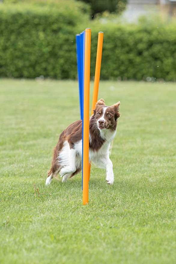 Trixie Agility Slalom Weave Poles Set of 12 For Dogs