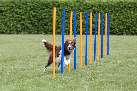 Trixie Agility Slalom Weave Poles Set of 12 For Dogs