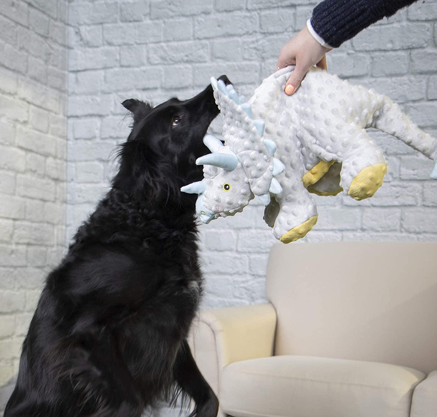 81F3T1kWTRL._AC_SL1500_