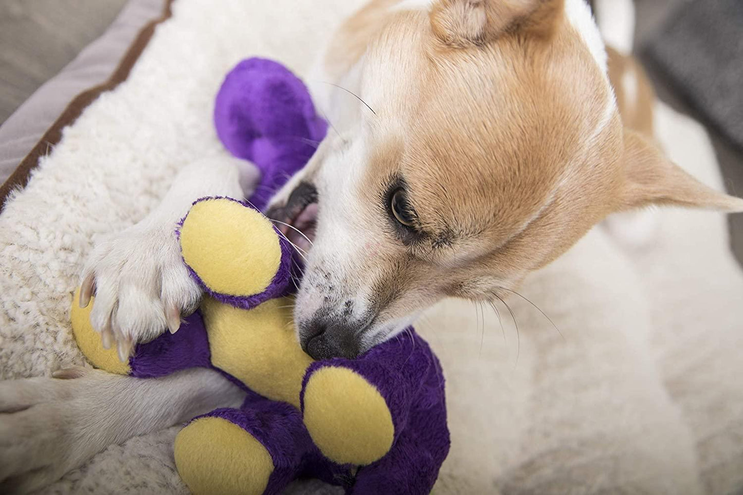 81OC-W-YubL._SL1500_