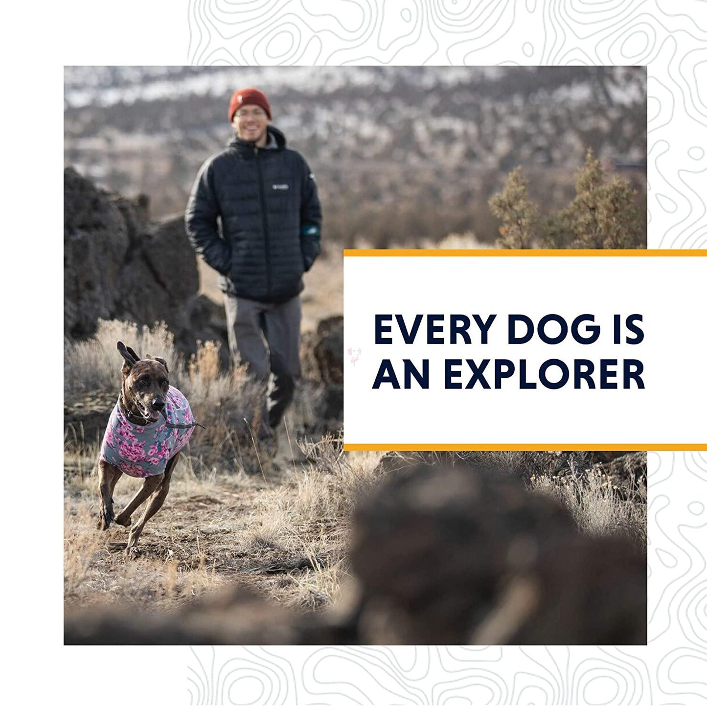 81QqzmBUDUL._SL1500_