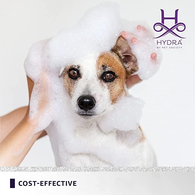 81SqzXfm23S._AC_SX679_