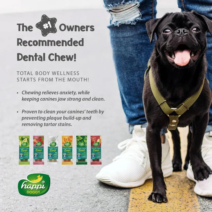 Happi Doggy Vegetarian Dental Chew - Zest - Orange Vegetarian & Sustainable Treat For Dogs 150g