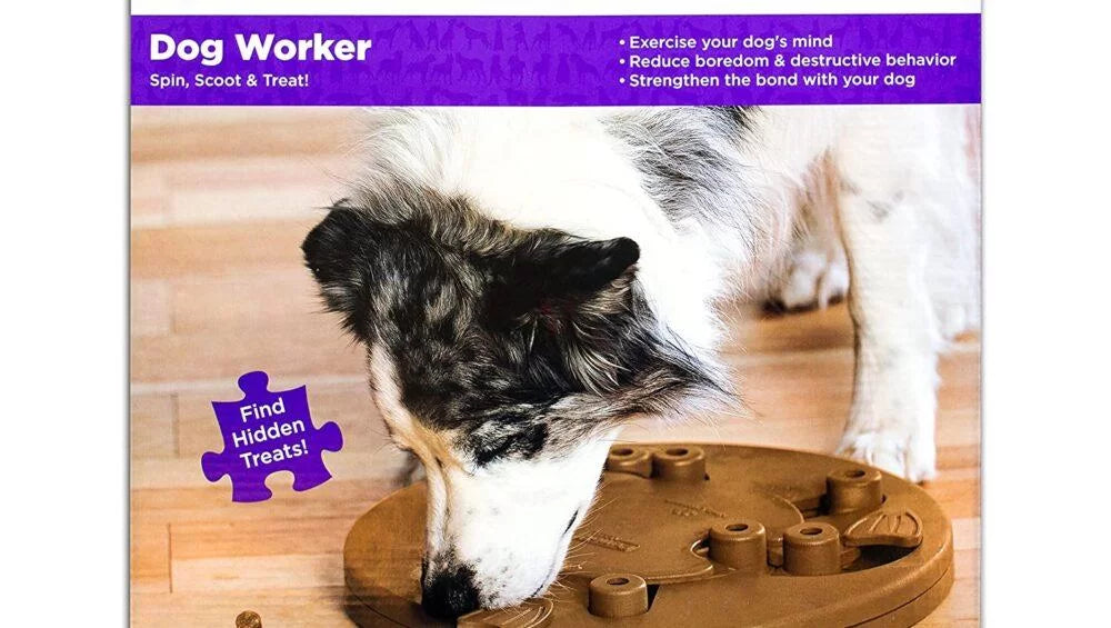 91BiCES-aYL._SL1500_-1000x565