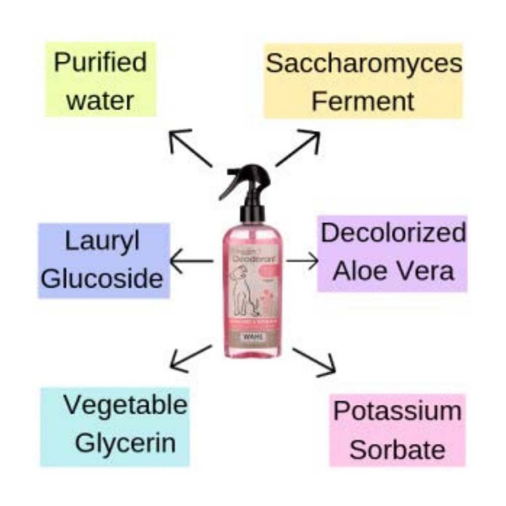 9_8cd319f1-adbe-4d5c-adc6-1f7849764883_510x@2x