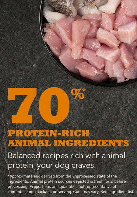 Acana Large Breed Puppy Dry Food