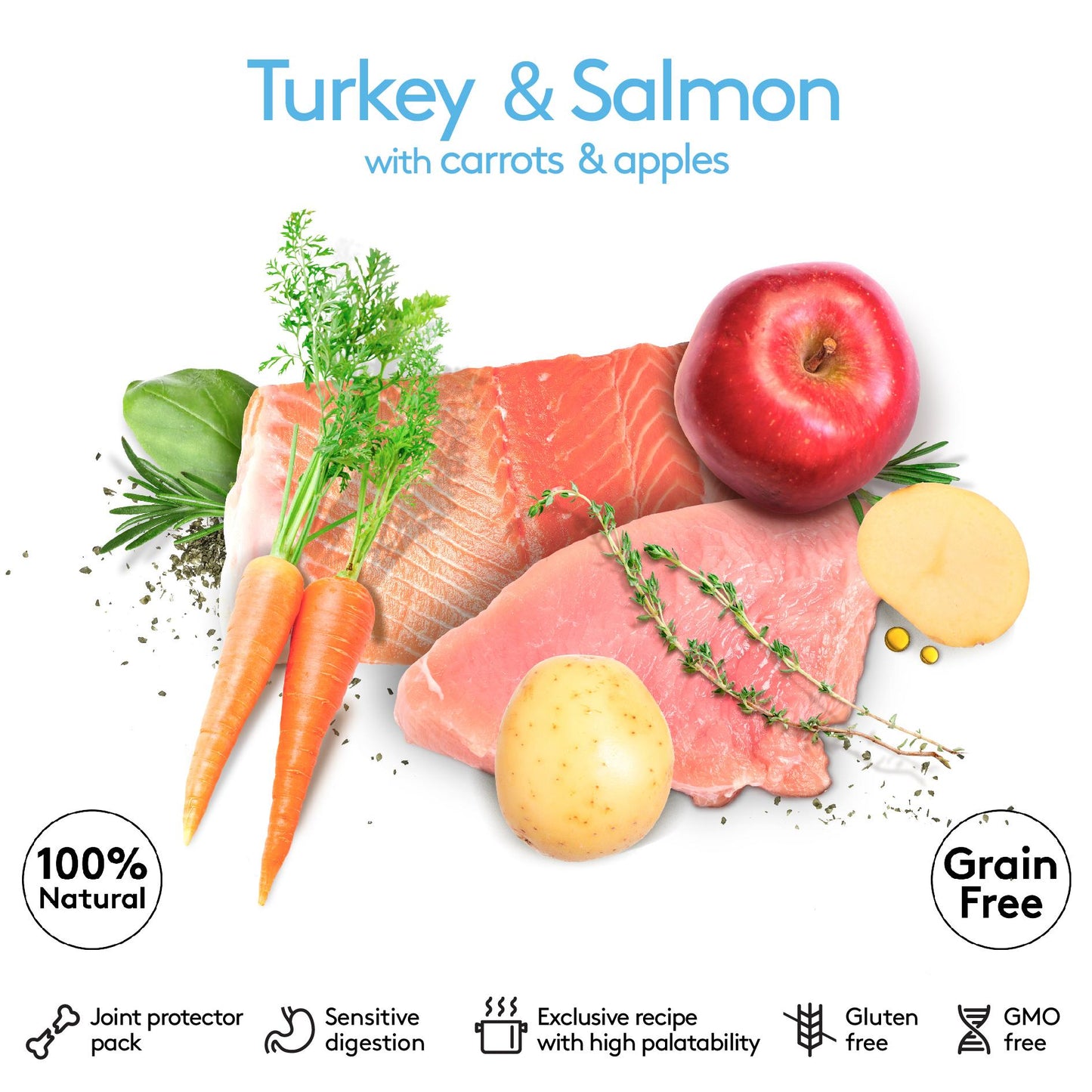 Natural Turkey & Salmon